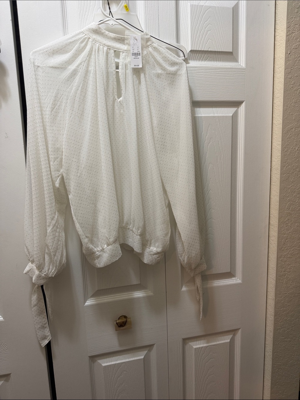 White Sheer Long-Sleeve Tie-Neck Blouse